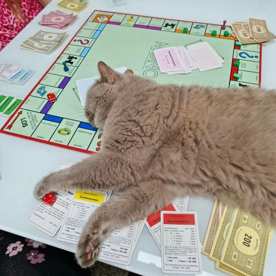 Monopoly mit Hindernissen